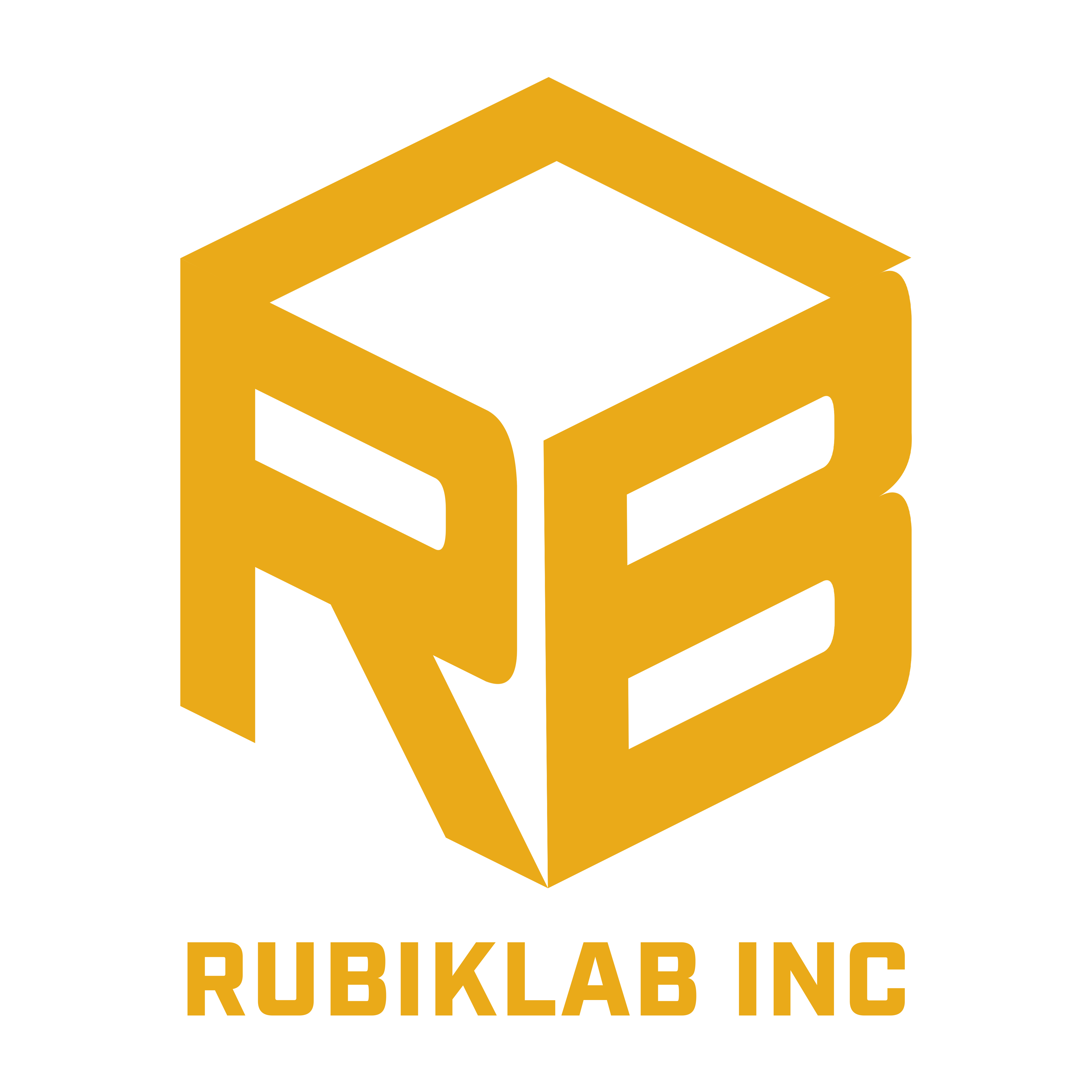 RubikLab Logo